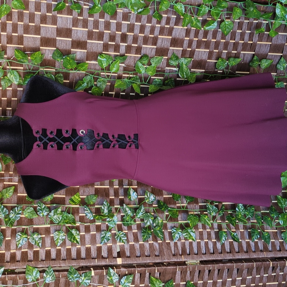 Silence and Noise Plum Lace Up Front Dress